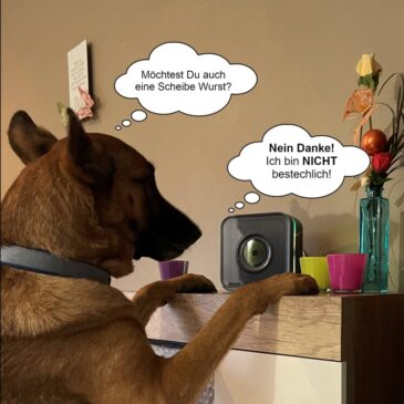 Alarmanlage Suritec Erfahrung mit Hunden