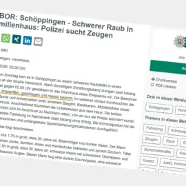 Infra Alarm - Suritec Frühwarnsysteme für das Münsterland Kreis Borken Kreis Steinfurt Horstmar - Schöppingen Einbruch Nachts - Bewohner angegriffen